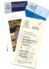 Image of four folfed flyers showing design options for this medium